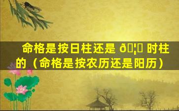 命格是按日柱还是 🦟 时柱的（命格是按农历还是阳历）